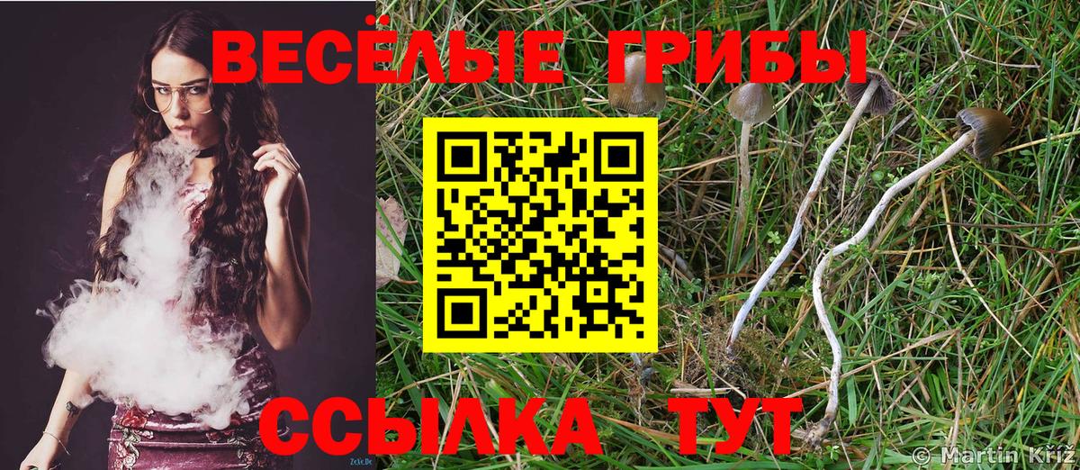 Каменск-Шахтинский  купить наркотик  Вход с VPN  Галлюциногенные грибы Cubensis 