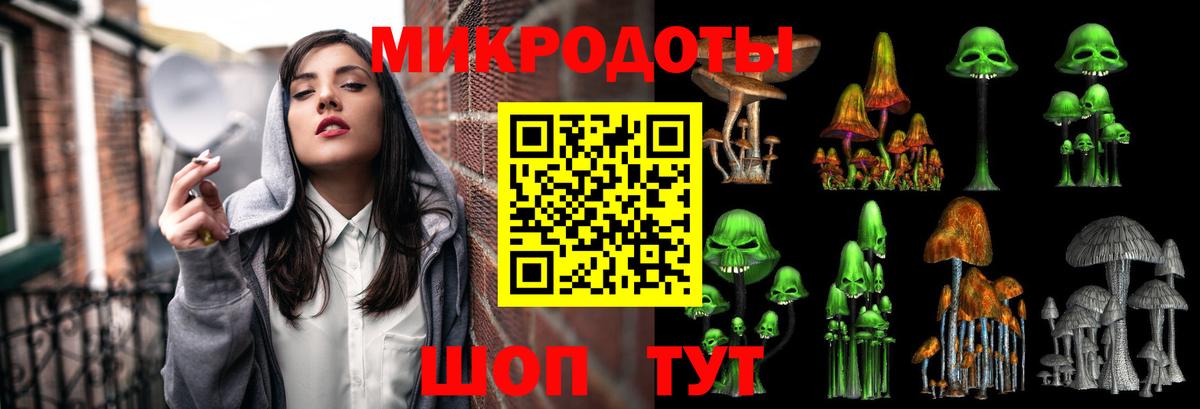 Псилоцибиновые грибы мицелий Каменск-Шахтинский